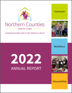 2022 Annual Report cover graphic