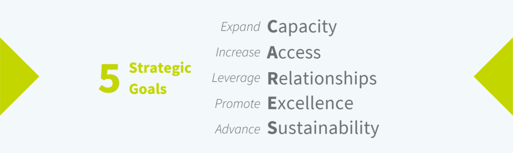 Graphic of 5 strategic goals. Expand Capacity, Increase Access, Leverage Relationships, Promote Excellence, Advance Sustainability