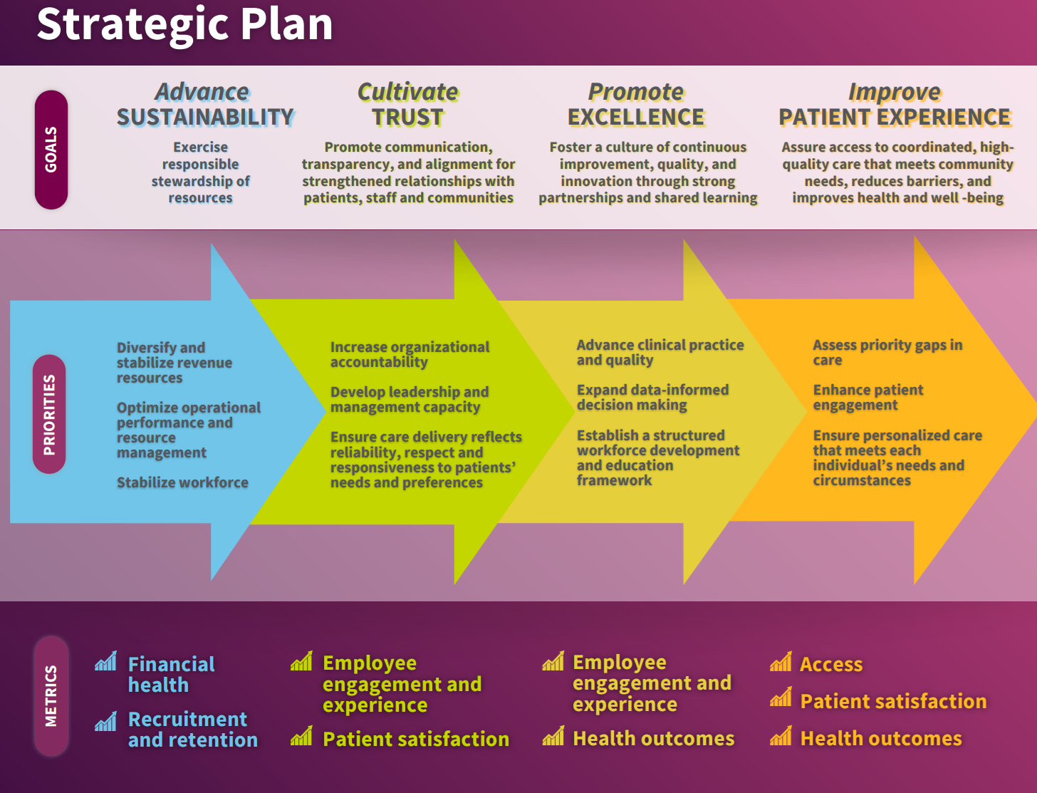 Excerpt from full Strategic Plan - all text